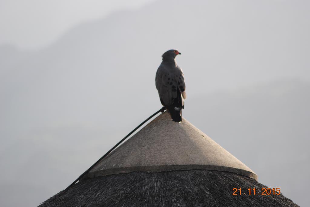 Roundhouse Guesthouse Franschhoek Bagian luar foto