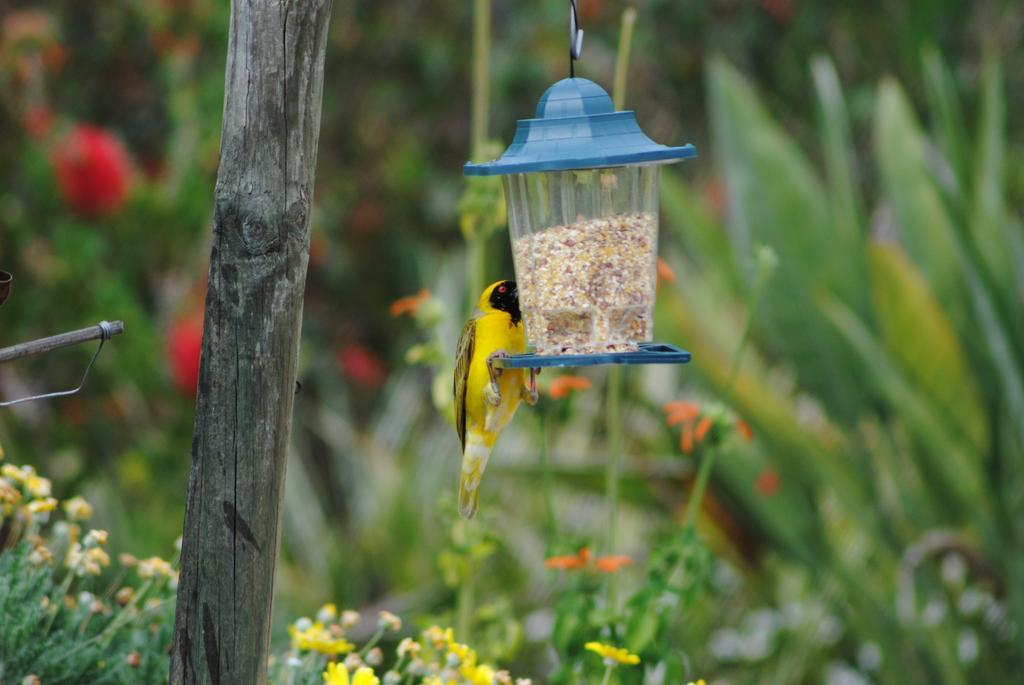 Roundhouse Guesthouse Franschhoek Bagian luar foto